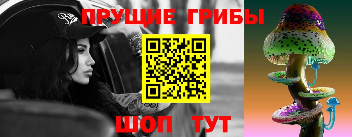 Гай  Галлюциногенные грибы Psilocybine cubensis  хочу   Вход с VPN 